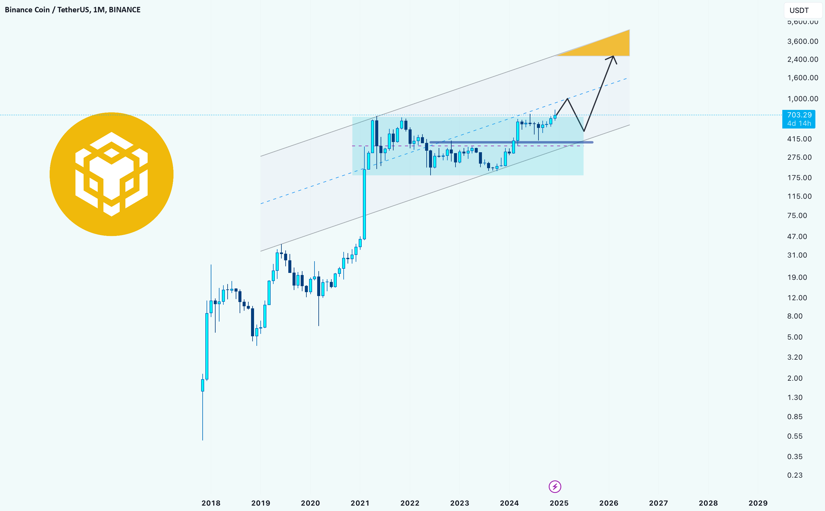 Binance Coin / TetherUS