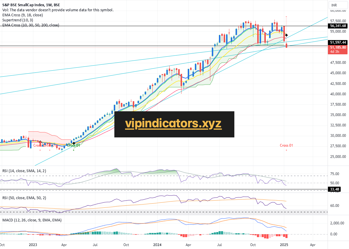 S&P BSE SmallCap Index