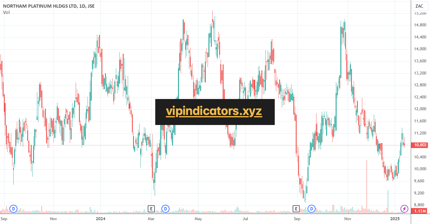 NORTHAM PLATINUM HLDGS LTD