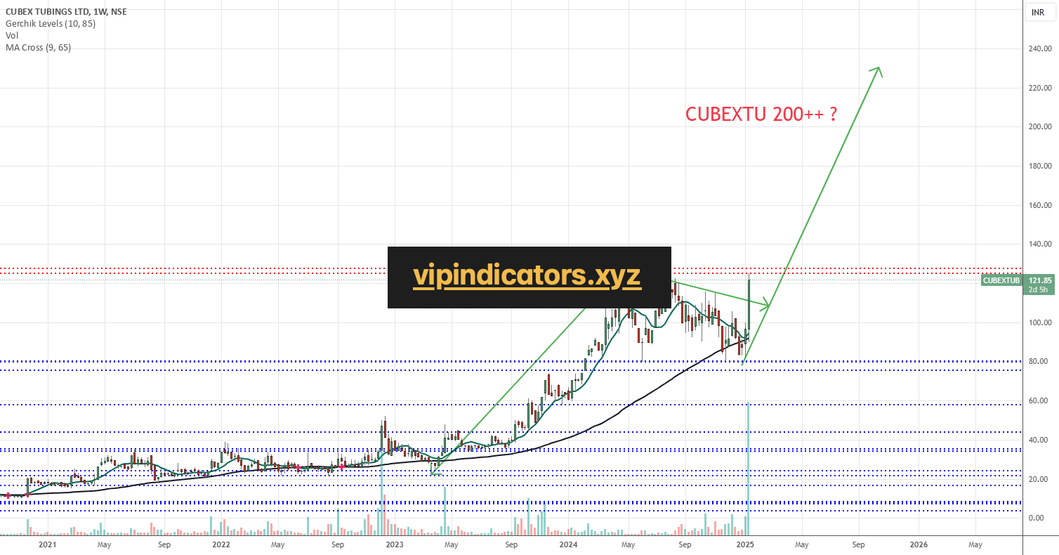 CUBEX TUBINGS LTD